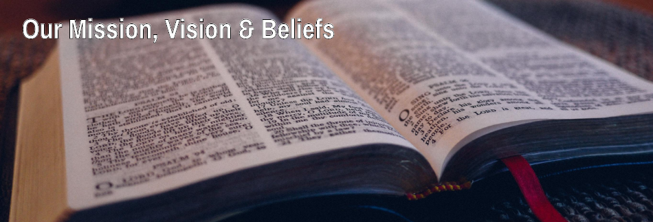 Walk Through the Bible Website Banner